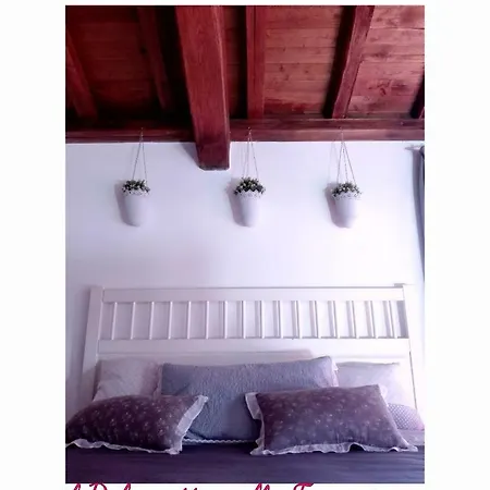 Il Palazzetto Sulla Francigena * Formello